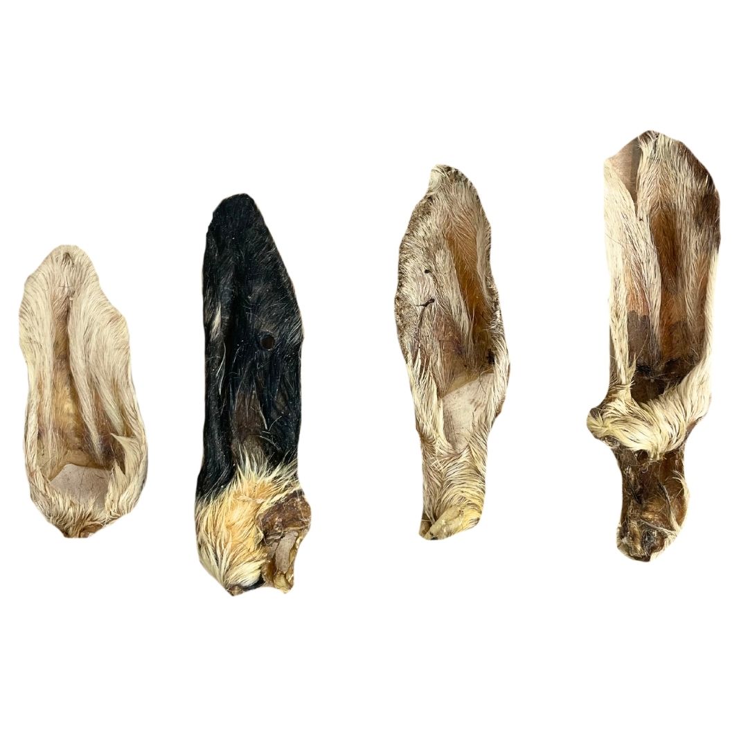 HAIRY LAMB EARS