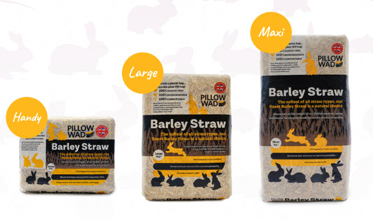 BARLEY STRAW