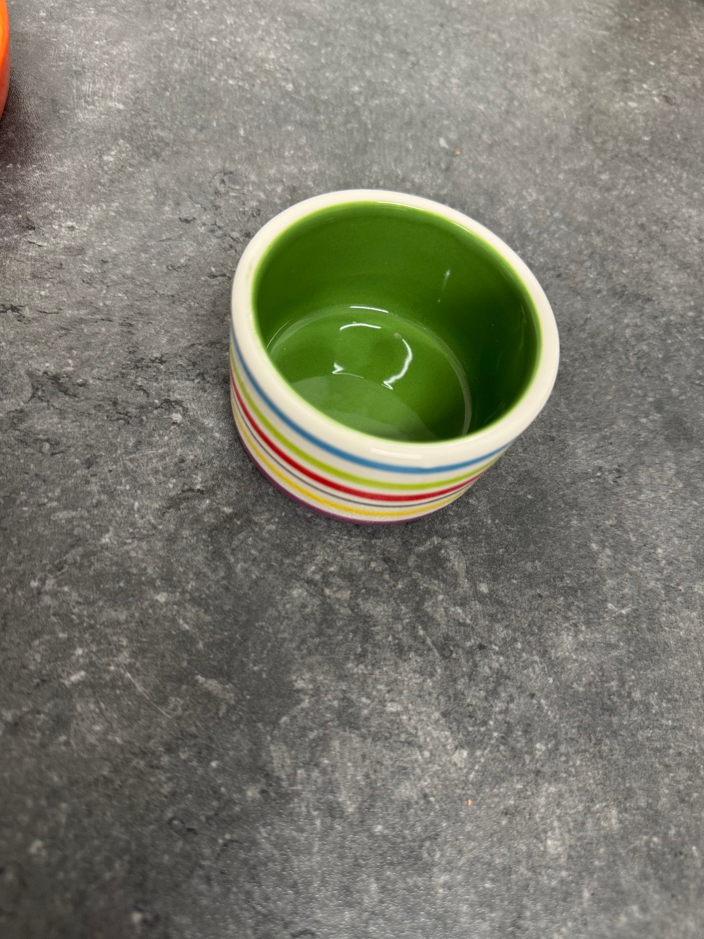 RAINBOW PET BOWL