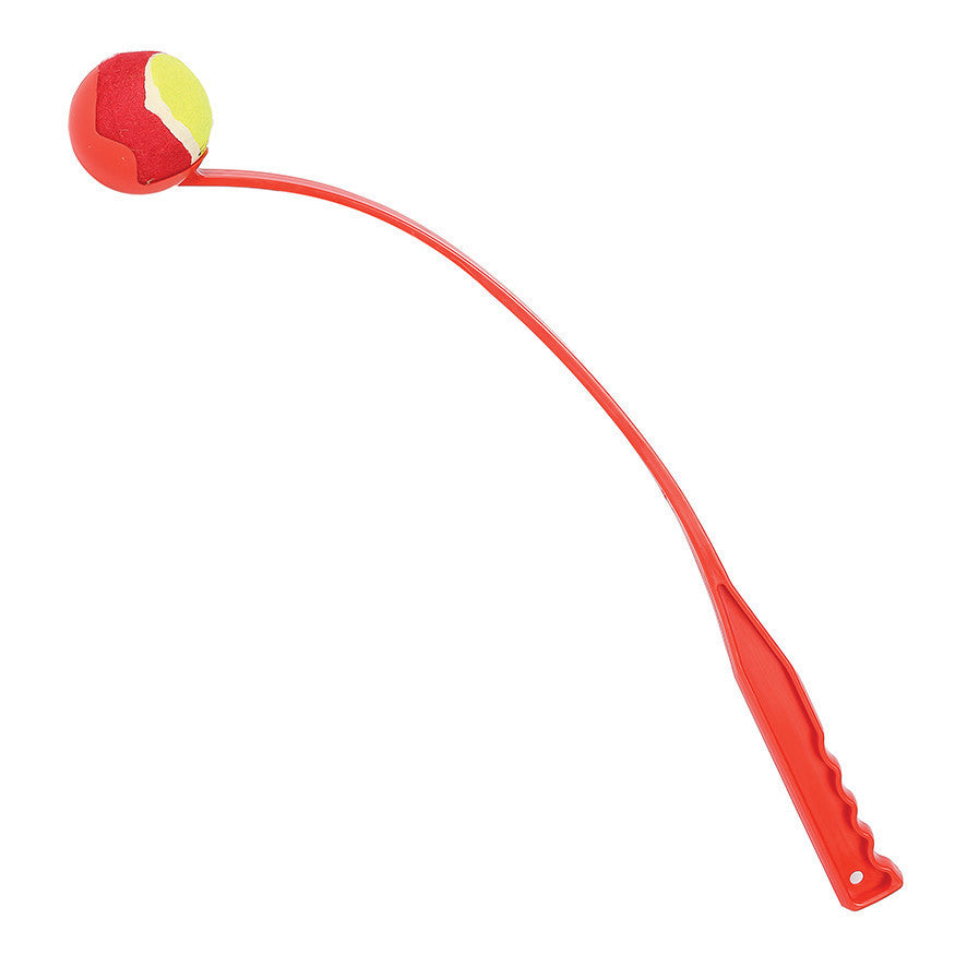 FLING AND FETCH