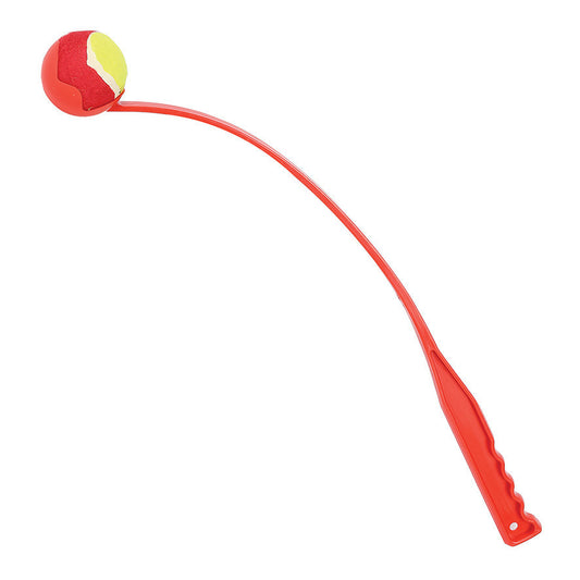 FLING AND FETCH