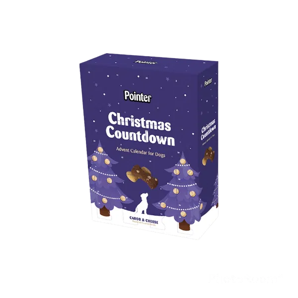POINTER ADVENT CALENDAR 325G