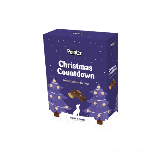 POINTER ADVENT CALENDAR 325G