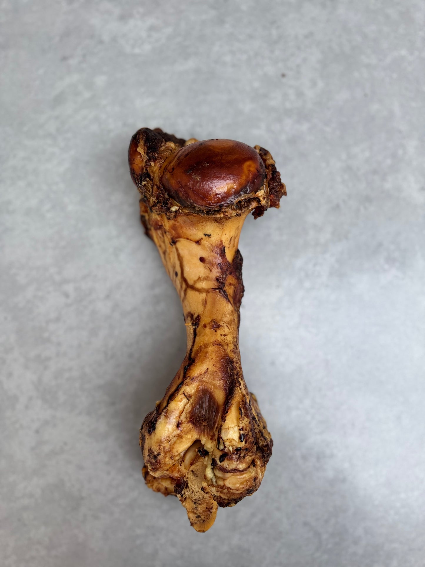 JURASSIC BONES