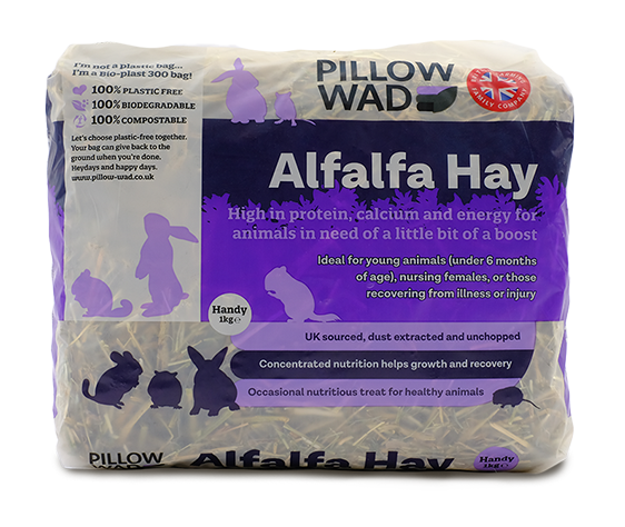 ALFALFA HAY