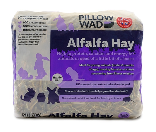 ALFALFA HAY