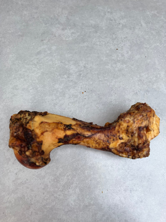 JURASSIC BONES