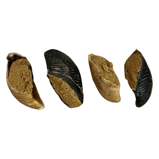 PEANUT BUTTER FILLED HOOVE