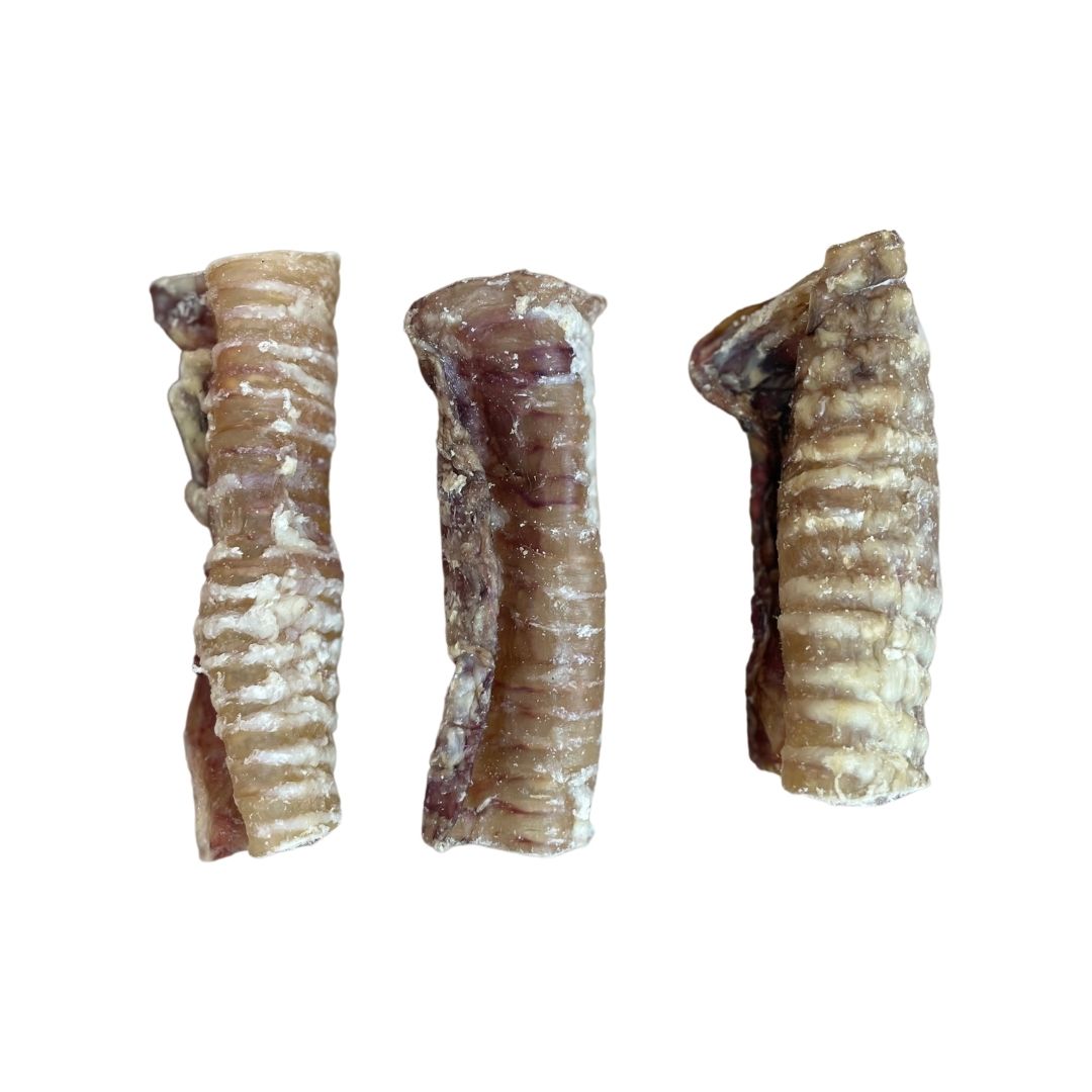 BEEF TRACHEA 12CM