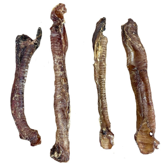 LAMB TRACHEA